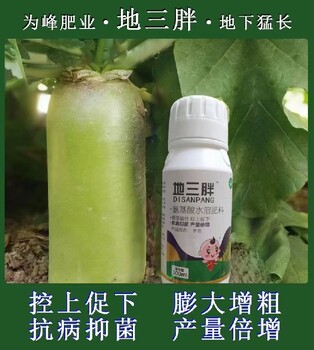 胖墩胡萝卜根茎膨大素定做加工