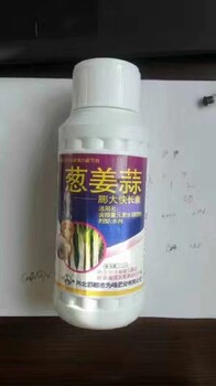 地下飆長洋蔥根莖膨大素哪里買賣