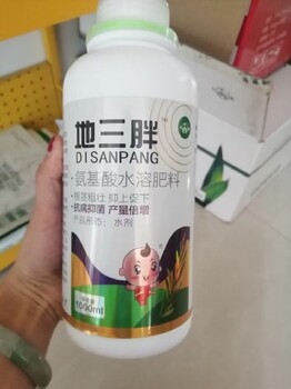 地胖哥胡萝卜根茎膨大素厂家