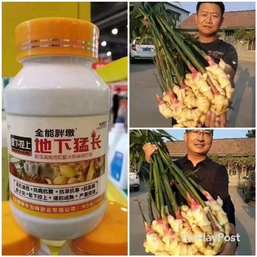 地下狂长根茎类作物根茎膨大素使用方法