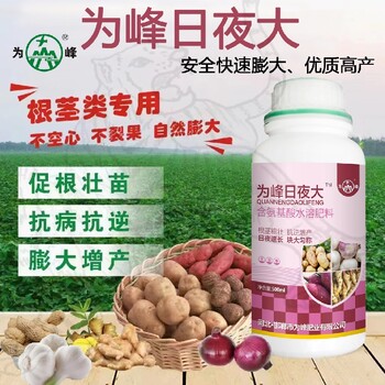 胖墩土豆根莖膨大素膨大增產(chǎn)葉面肥