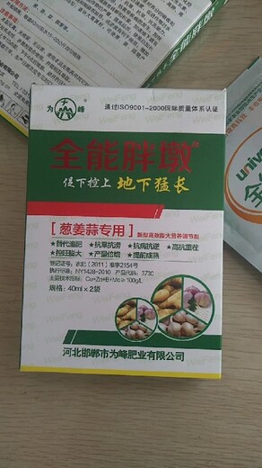 胖墩大蒜根茎膨大素厂家