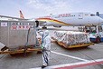 東莞到沈陽機場空運-航空貨運，加急件托運-當(dāng)日達(dá)