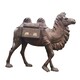 室外玻璃钢骆驼雕塑图