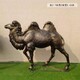 玻璃钢骆驼雕塑供应商图