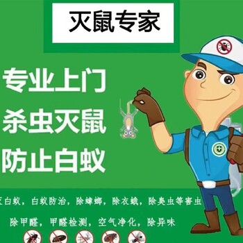 廈門市怎么樣消滅老鼠公司電話