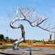 定制不锈钢抽象树景观雕塑图