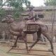 制作不锈钢骆驼雕塑景观小品图