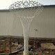 圆管不锈钢树雕塑厂家图