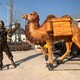 玻璃钢骆驼雕塑模型图