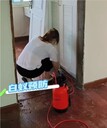 泉州市怎么樣防疫消殺白蟻多少錢