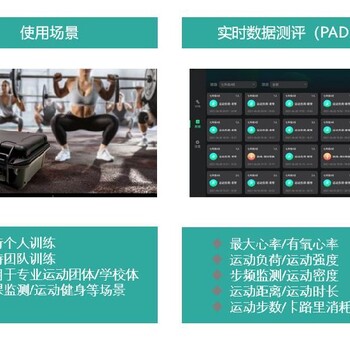 全体运动负荷心率监测-体育锻炼运动监测系统