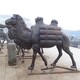 不锈钢骆驼雕塑摆件图