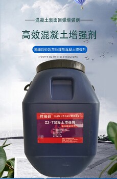 廣東水泥砂漿起砂固沙劑