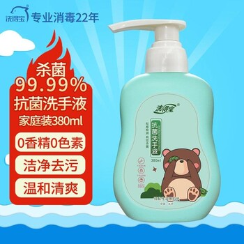 廠家批發(fā)洗得寶兒童抗菌洗手液380ml抗菌殺菌清潔衛(wèi)生
