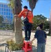 永順縣白蟻防治公司