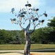 制作不锈钢抽象树景观雕塑造型图