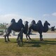 公园玻璃钢骆驼雕塑摆件图