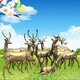 公園玻璃鋼鹿雕塑銷售產(chǎn)品圖