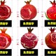 不銹鋼石榴雕塑定制廠家圖