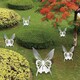 新疆不锈钢蝴蝶雕塑制作厂家产品图