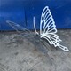 广场不锈钢蝴蝶雕塑图