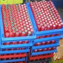常州全新26650鋰電池回收誠信給價