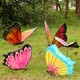 蝴蝶雕塑模型图