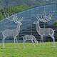 不锈钢丝鹿雕塑，镂空动物雕塑小品展示图