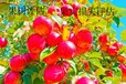長春養殖場評估收費標準