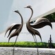 動(dòng)物不銹鋼仙鶴雕塑圖