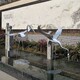 台湾不锈钢仙鹤雕塑造型产品图