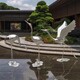廣場(chǎng)不銹鋼仙鶴雕塑圖