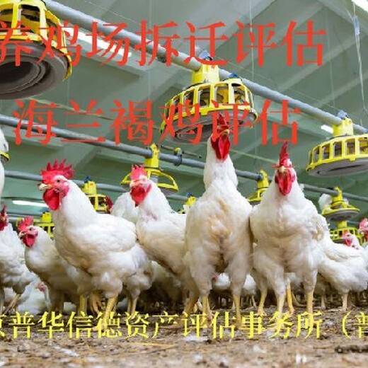陕西有没有养殖场评估养鸡场评估
