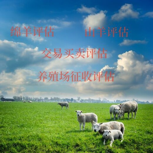 山西從事設備評估價格
