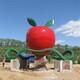 不锈钢苹果雕塑图