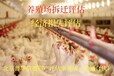 武漢從事財產損失評估聯系方式