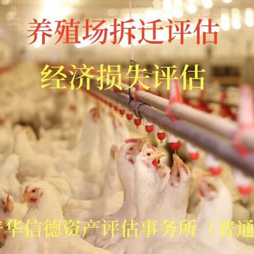 东莞哪里有养殖场评估养鸡场评估