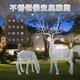 城市景觀不銹鋼絲鹿雕塑裝飾產(chǎn)品圖
