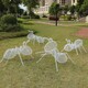 镂空编织不锈钢蚂蚁雕塑模型图