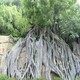 密云大型假樹門口生態(tài)園假樹大門公司-造型優(yōu)美工期短產(chǎn)品圖