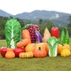 戶外玻璃鋼白菜雕塑加工廠家圖