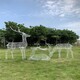 不锈钢镂空动物雕塑制作图