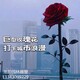 花朵雕塑圖