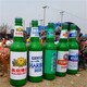 加工大型酒瓶子雕塑模型圖