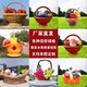 玻璃鋼水果籃子雕塑模型圖