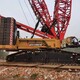 安徽合肥履帶吊出租圖