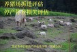 西藏从事绿化树评估公司