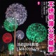 大型不銹鋼蒲公英雕塑圖