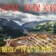 綠化樹評估圖
